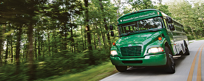 A photo of a green school bus with the name