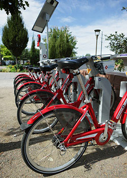 Photo of people riding bikes.