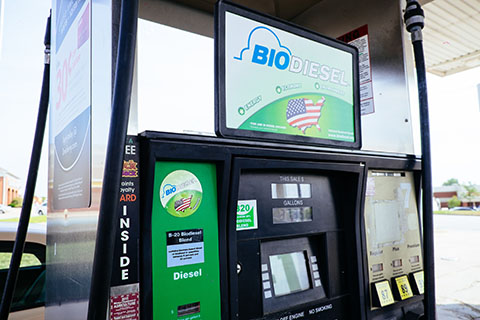 Biodiesel pump