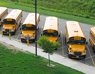 Photo from above showing a row of yellow school buses parked below in a parking lot.