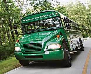 A photo of a green school bus with the name