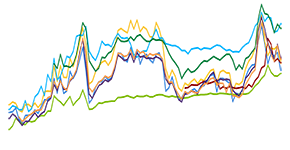 Graph of fuel prices.